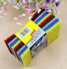 Scouring Pad Deals