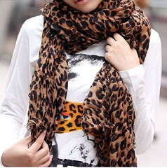 Leopard Scarf Deals
