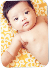 Free Photos