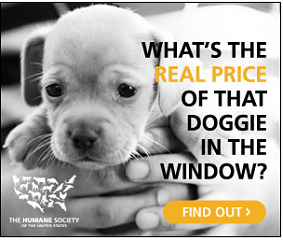 Stop Puppy Mills