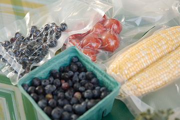 FoodSaver Reviews