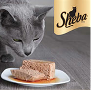 Free Sheba Cat Food 