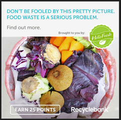 RecycleBank Points