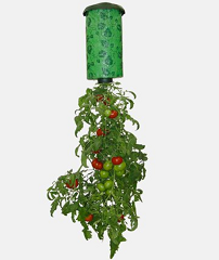 Planter Deals