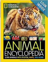 National Geographic Deals
