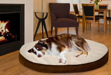 Pet Mattress Deals