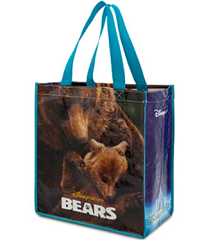 Free Disney Bag