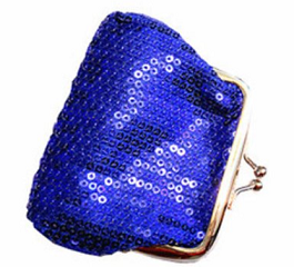 Sequin Change Purse 