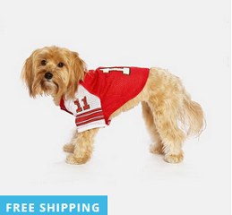 Pet Apparel Deals
