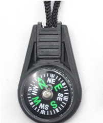Mini Compass Key Chain