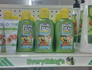 Bullfrog Sun Screen Coupon