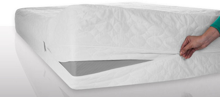 Bed Bug Mattress Protector Deals