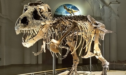 The Field Museum Discounts