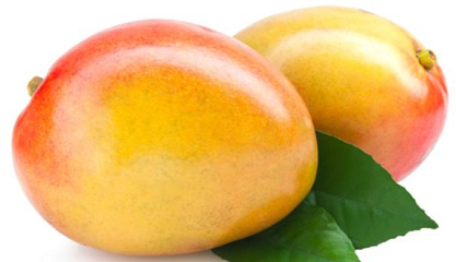 Mango Coupons