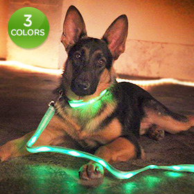ledpetcollarandleash