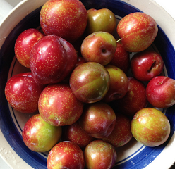 Plums Coupons
