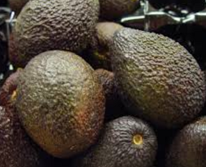 Avocado Coupons