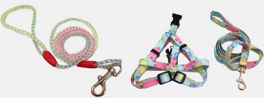 Fashion Leash Deals