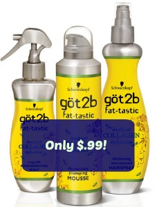 Got2B Styler Coupons
