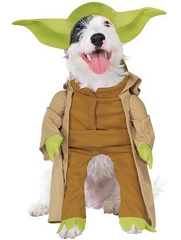 Wag.com Deals