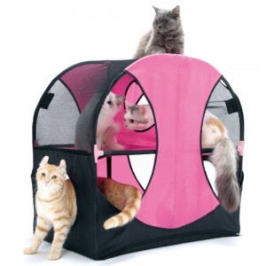 thatdailydeal