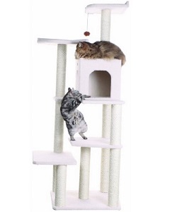 Cat Tree Deals