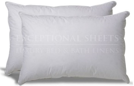 Alternative Hypoallergenic Pillow Deals