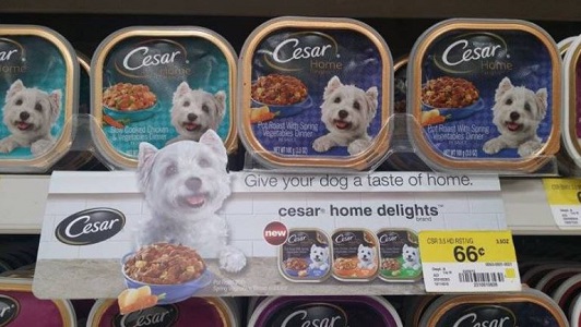 Cesar Coupons
