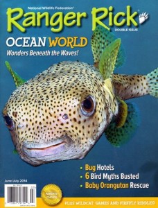 discountmags