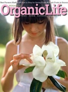 discountmags