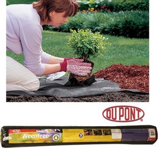Dupont Deals