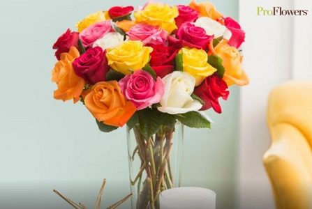 ProFlowers Deals