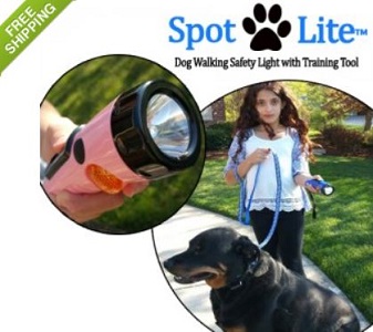 Dog Training Deals