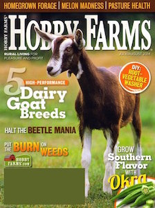 discountmags