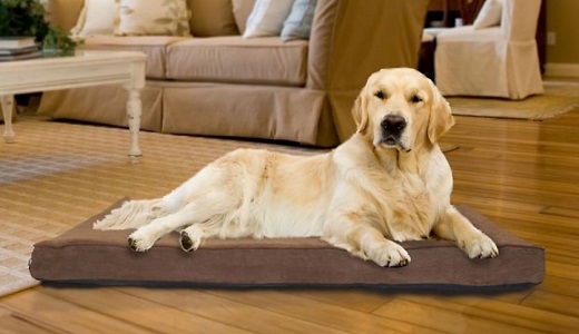 Pet Bed Deal
