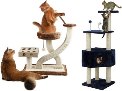 Cat Playgrounds