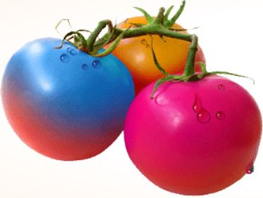 TomatoInk Deals