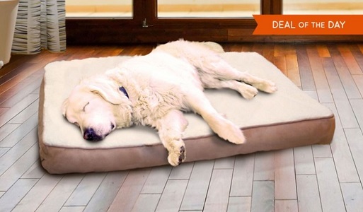 Pet Orthopedic Mattress Deals