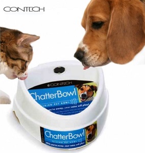 Talking Pet Bowl