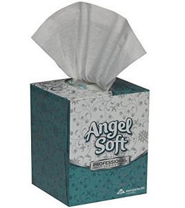 Angel Soft Coupon