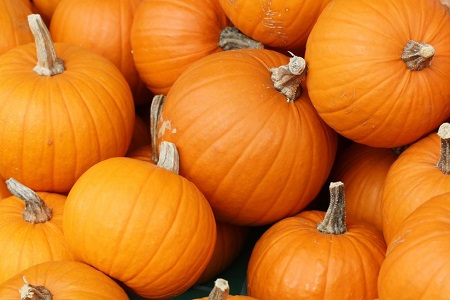 Pumkins Coupons