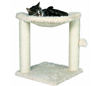 Cat Tree Deals
