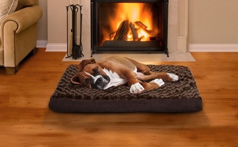 Pet Bed Deals