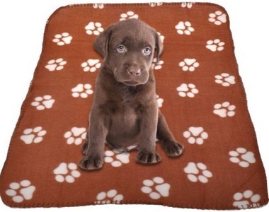 Pet Blanket Deals