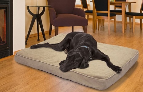 Pet Bed Deals