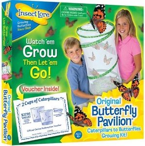 Insect Lore Deals