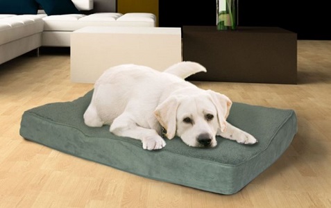 Pet Bed Deals